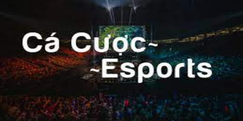 Chi tiết về cách chơi Esport